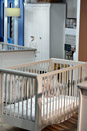 Harrogate Nursery Fair 2026