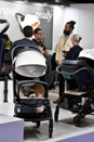 Harrogate Nursery Fair 2026