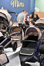 Harrogate Nursery Fair 2026